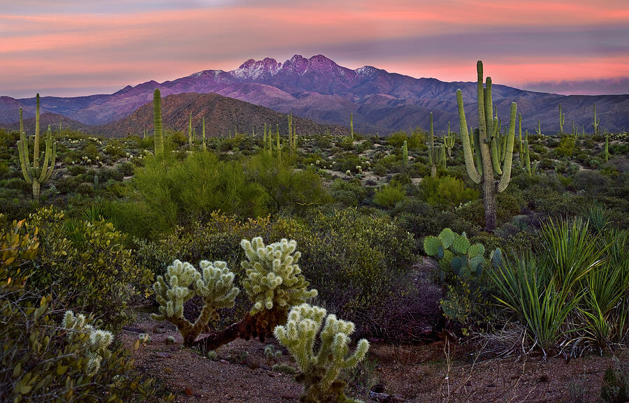 Arizona Photograph - Four Peaks Sunset by Dave Dilli