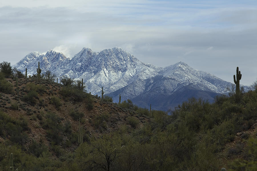 Four Peaks Winter Photograph by Sue Cullumber