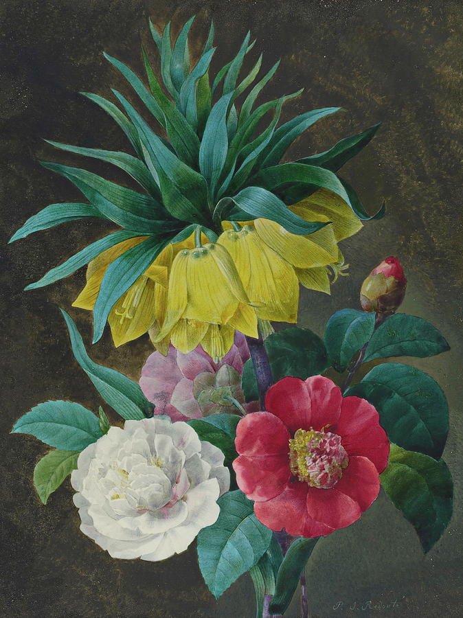 Four Peonies and a Crown Imperial Painting by Pierre Joseph Redout ...