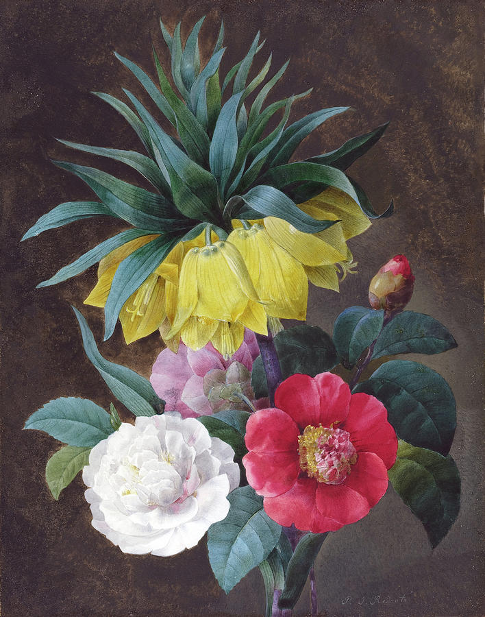 Four Peonies and a Crown Imperial Painting by Pierre Joseph Redoute