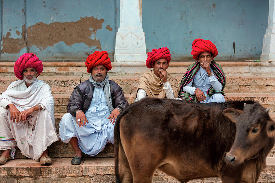 Four Rajasthani Brothers and a Holy Cow Photograph by Jose Luis Vilchez