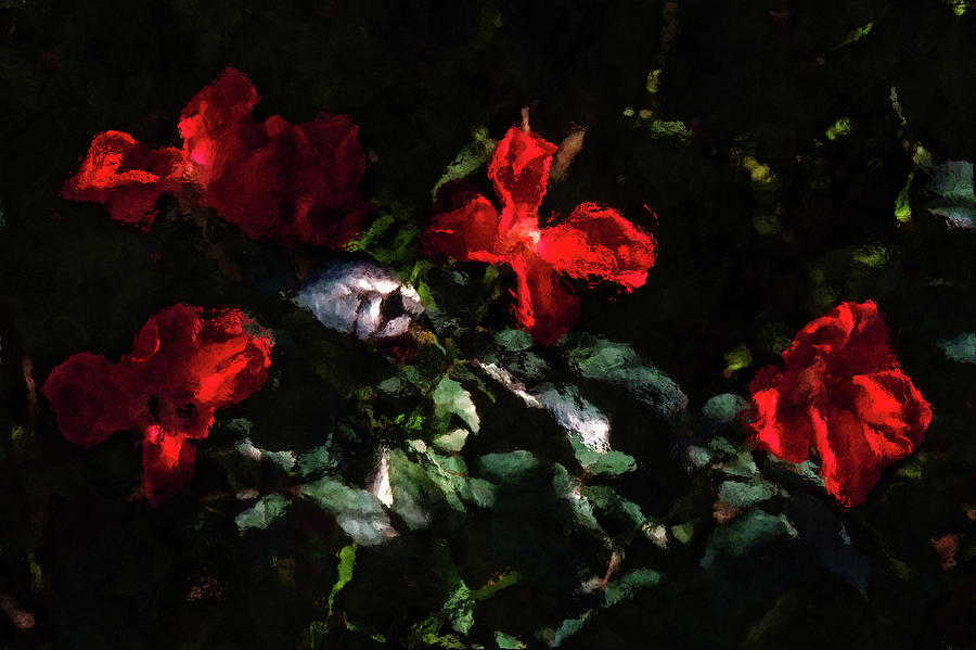 Four Red Roses Photograph by HH Photography of Florida
