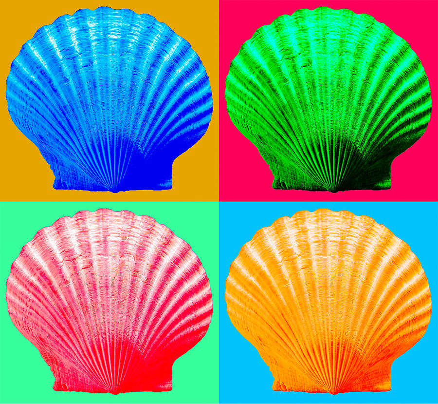 Four Sea Shells Photograph by WAZgriffin Digital