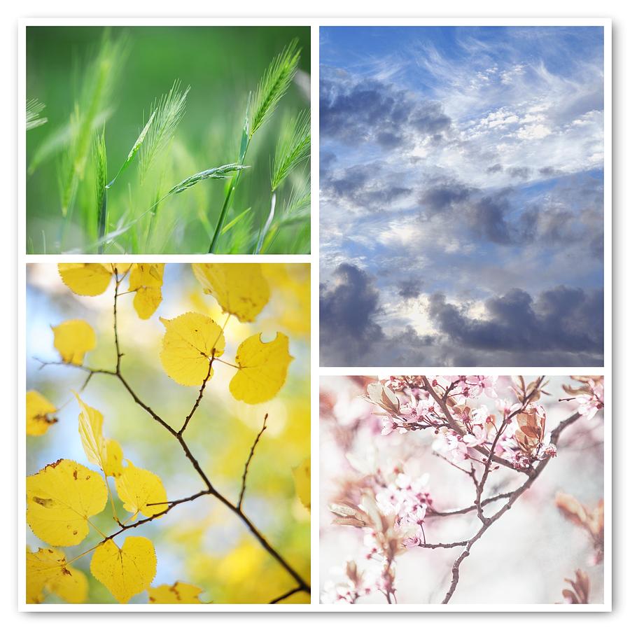 Summer Photograph - Four Seasons Collage 1 by Jenny Rainbow