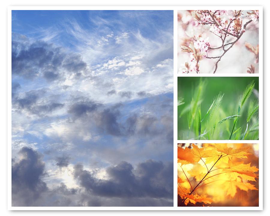 Summer Photograph - Four Seasons Collage 2 by Jenny Rainbow