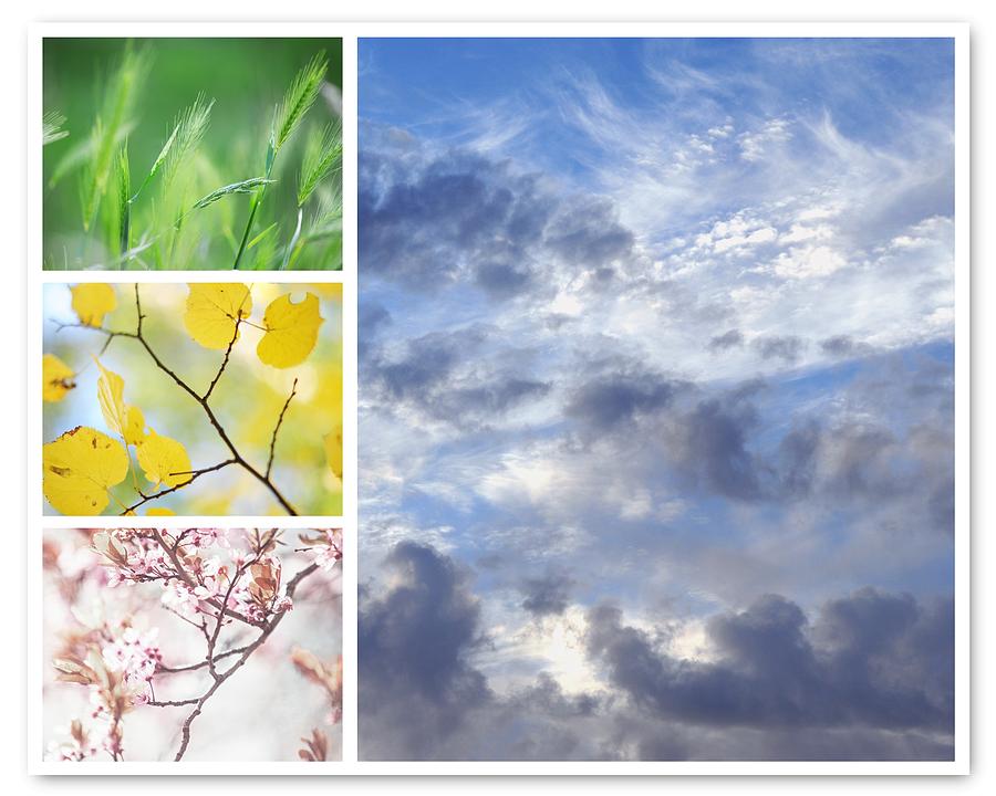 Summer Photograph - Four Seasons Collage. Winter Sky by Jenny Rainbow