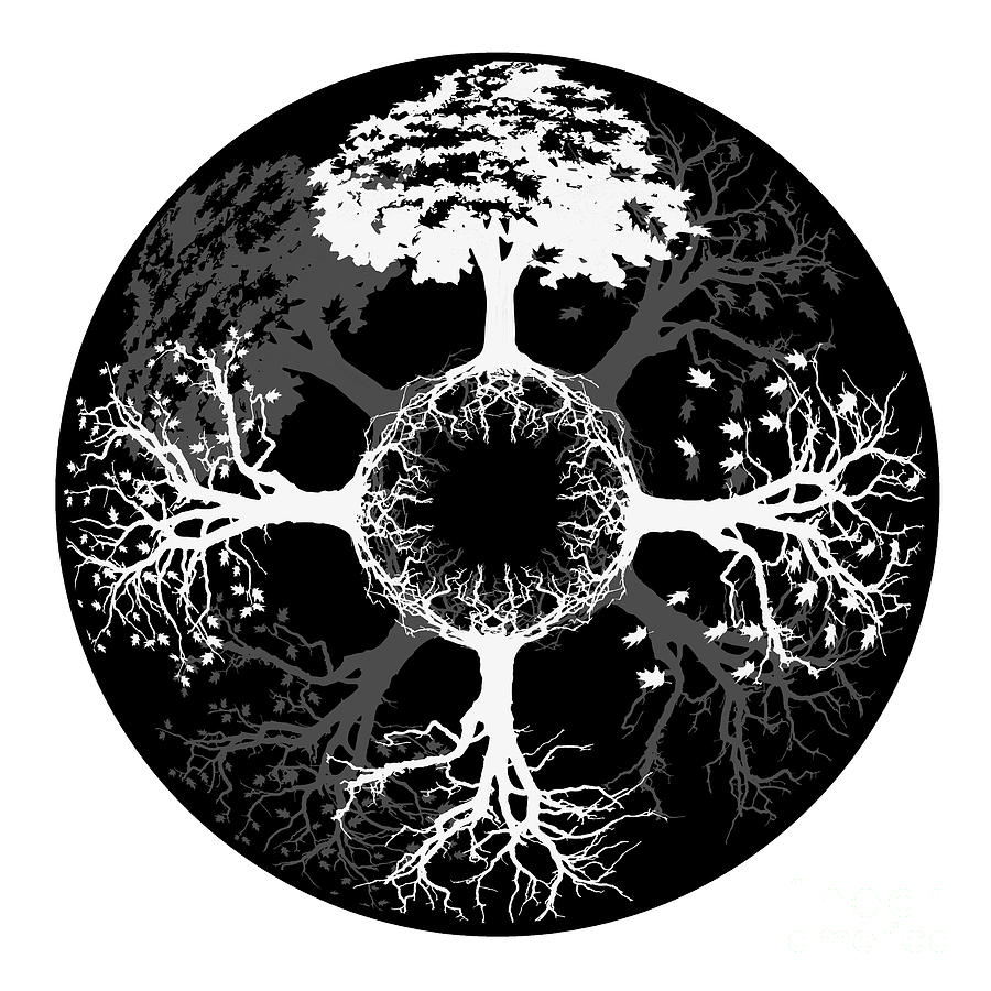 Four Seasons of Tree Digital Art by Doug LaRue