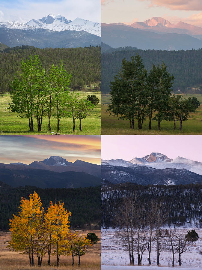 Four Seasons - Rocky Mountain National Park Photograph by Aaron Spong