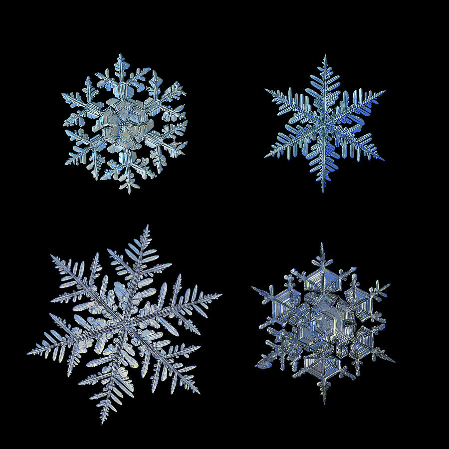 Four snowflakes on black background Photograph by Alexey Kljatov