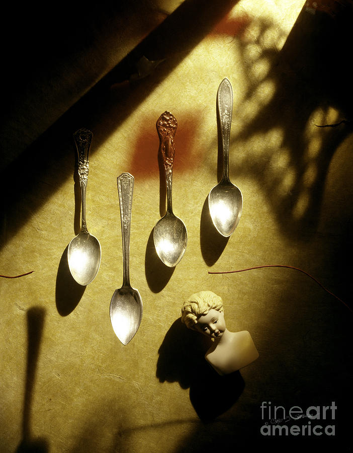 Four Spoons Photograph by Craig J Satterlee