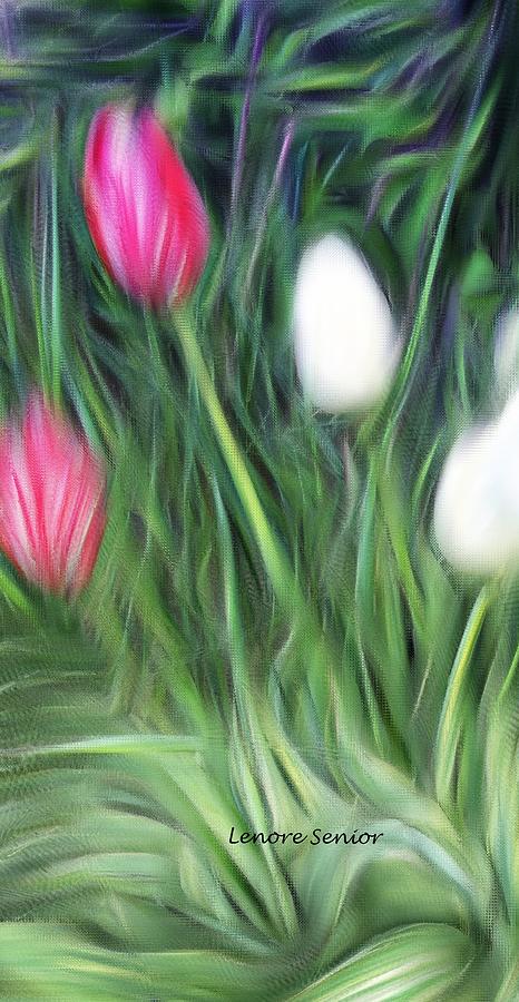 Four Tulips Photograph by Lenore Senior