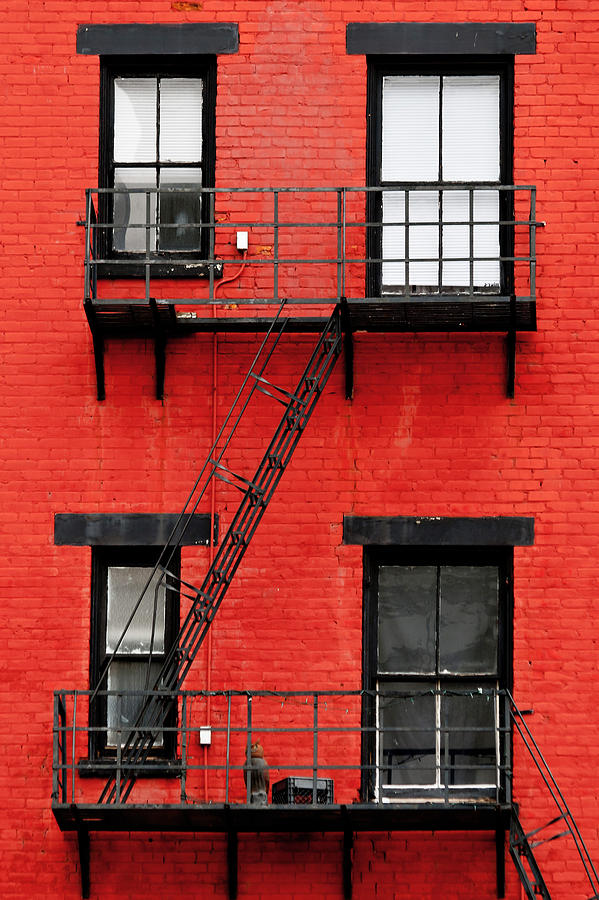 Four Windows Photograph by Keith Allen