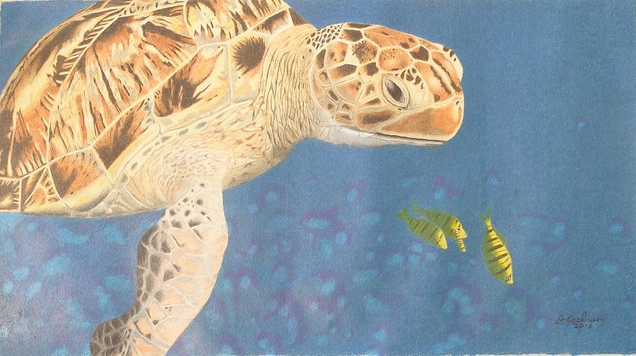 Turtle Drawing - Four Yellow Fish by David Cochran
