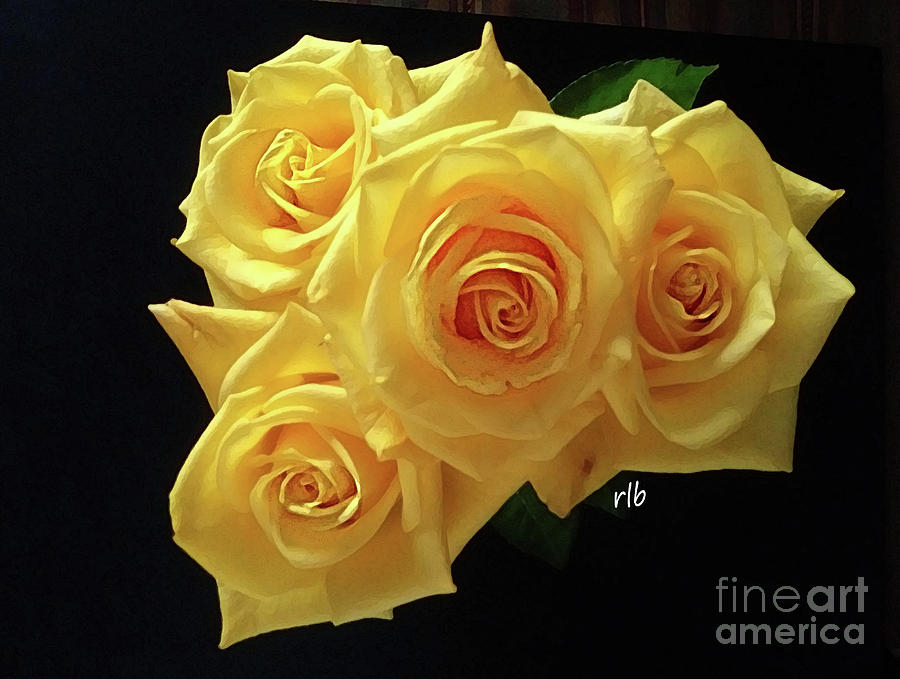 Four Yellow Roses Photograph by Rita Brown