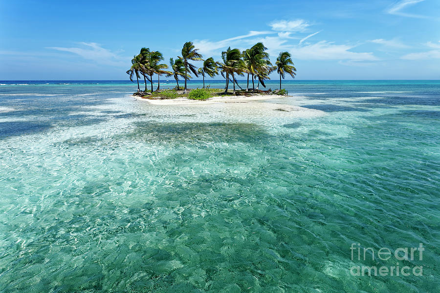 Fourteen Palms Island - Belize Photograph by Norbert Probst