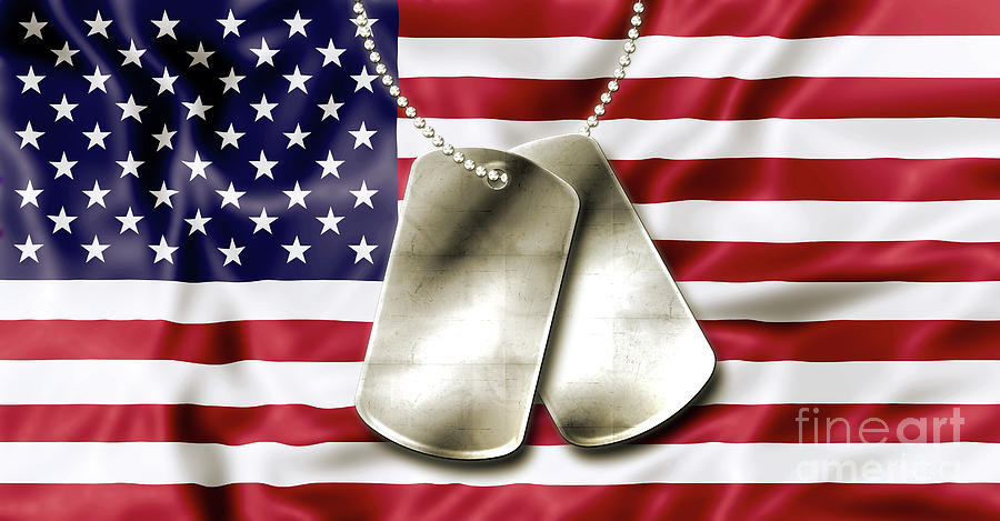 Fourth July Dog Tags Photograph by Benny Marty