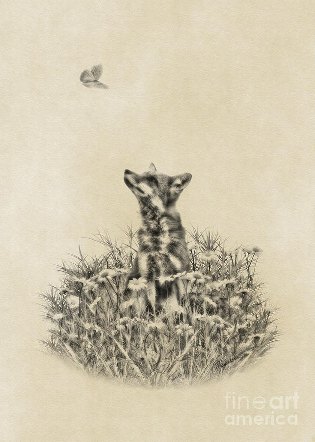 Fox and Butterfly Digital Art by Olga Hamilton