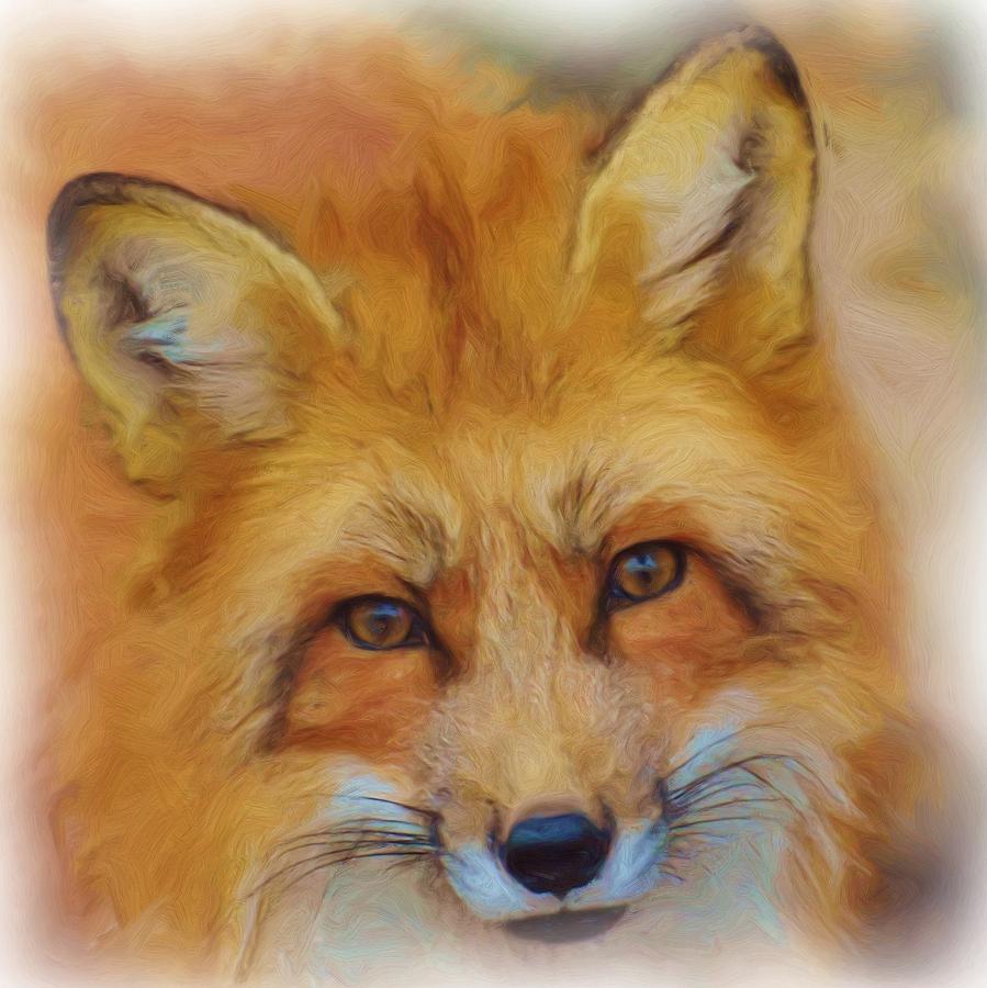Fox Face Taken From Watercolour Painting Painting By Joy Of Life Art Gallery