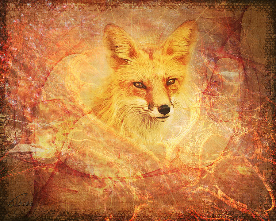 Fox Fire Photograph by Julie Thies Fine Art America