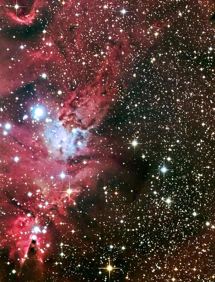 Fox Fur Nebula Photograph by Jim DeLillo