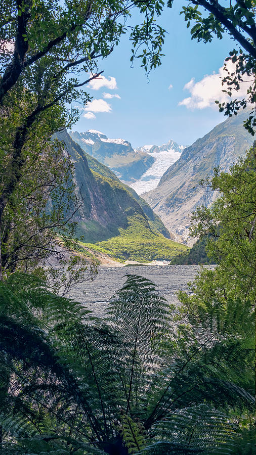 Fox Glacier New Zealand Photograph by Joan Carroll