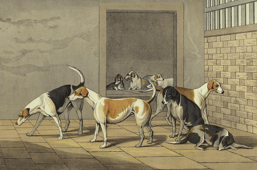 Dog Painting - Fox Hounds by Henry Thomas Alken