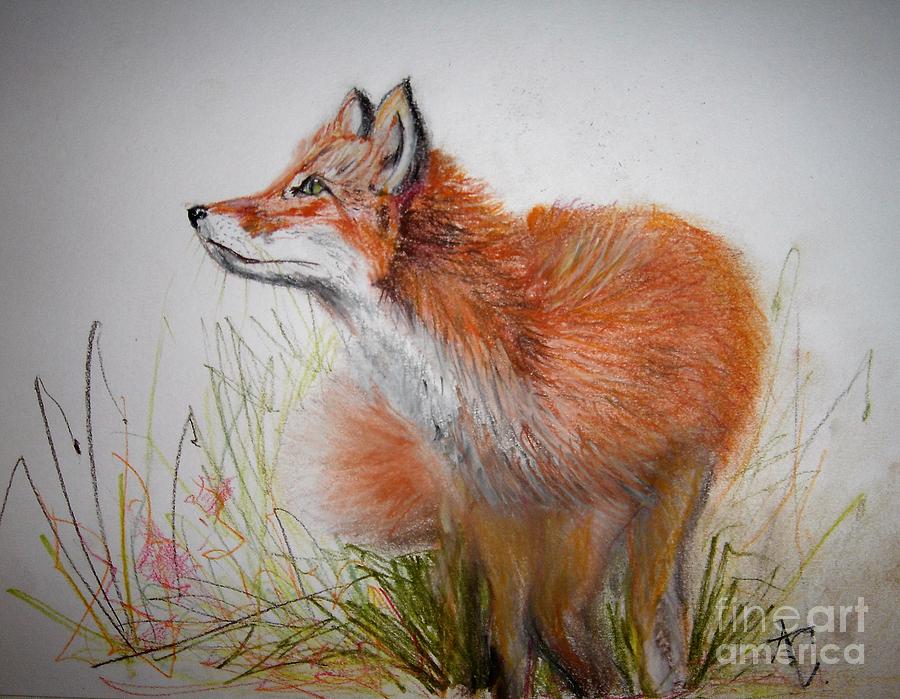 Fox in the grass Pastel by Angela Cartner