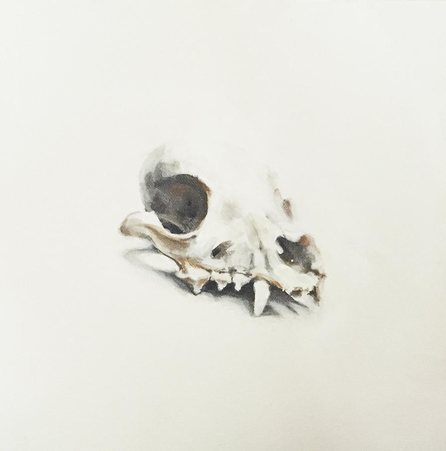 Skull Painting - FOX by Jeffrey Bess