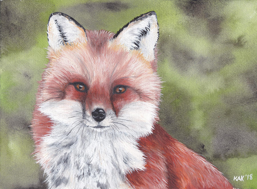 Fox Painting - Fox by Katherine Klimitas