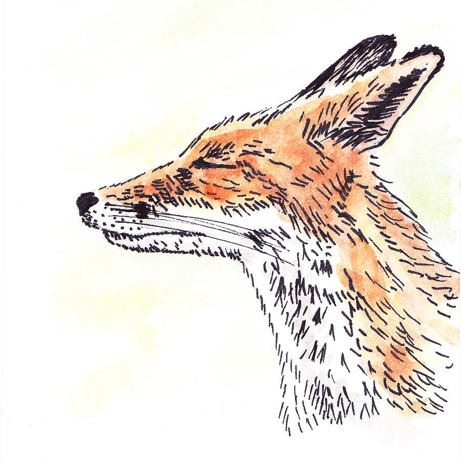 Fox Painting by Masha Batkova