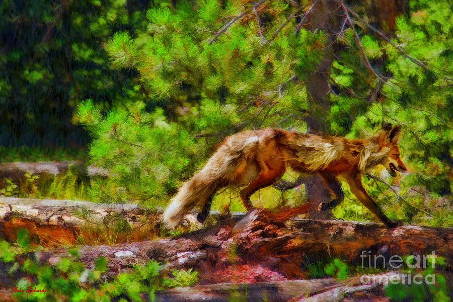 Fox On A Log Photograph by Blake Richards