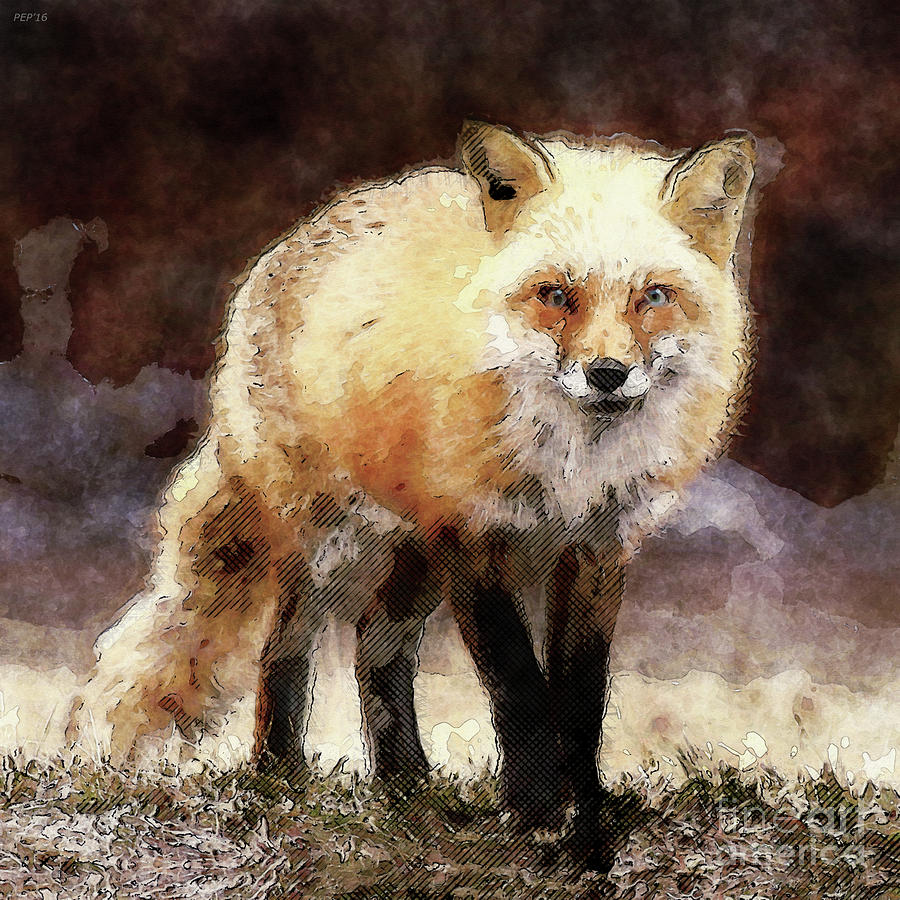 Fox On The Move Photograph by Phil Perkins