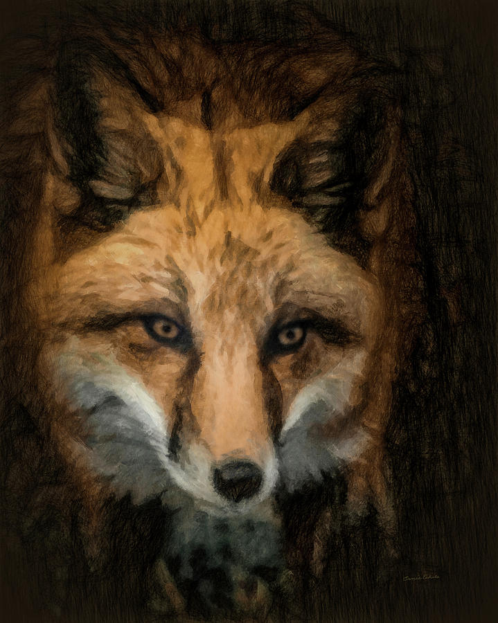 Fox Portrait 2 Digital Art by Ernest Echols