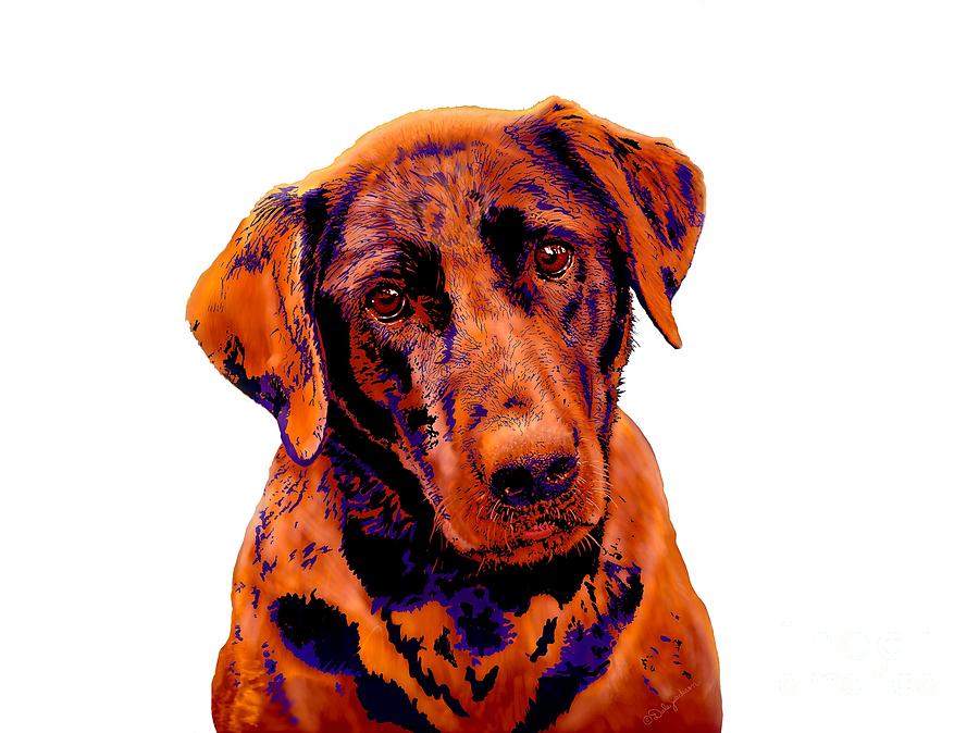 Dog Digital Art - Fox Red Labrador Painting by Dale E Jackson