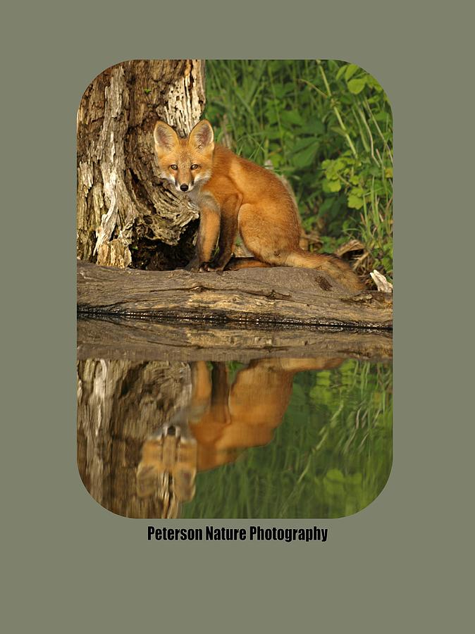 Fox Reflection Shirt Photograph by James Peterson