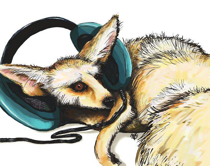 Fox tuned in Digital Art by Meagan  Visser
