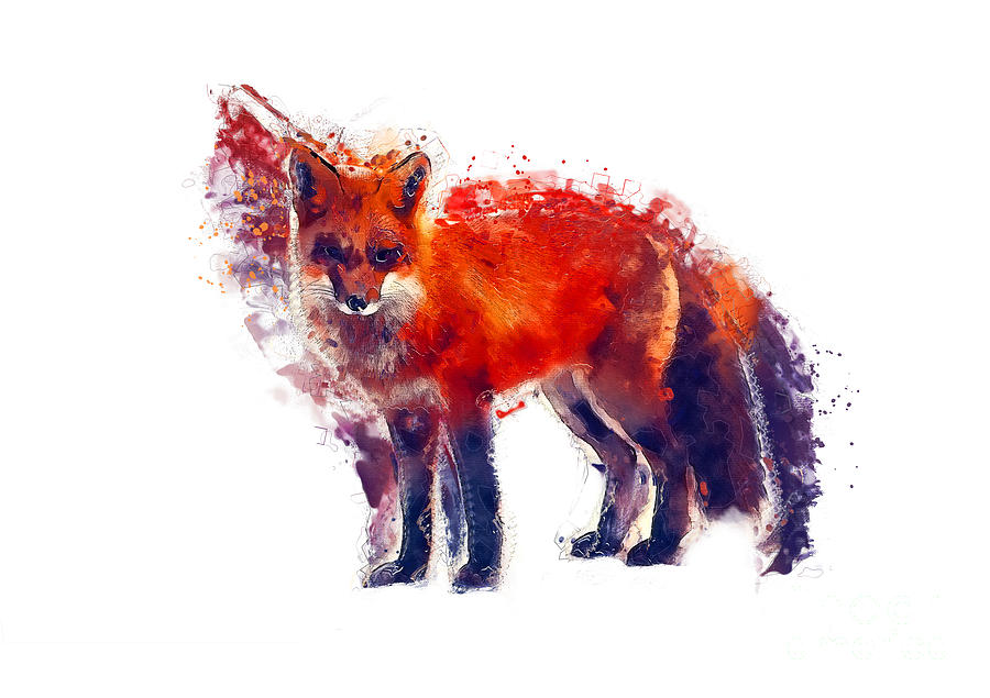 Fox watercolor Digital Art by Justyna Jaszke JBJart
