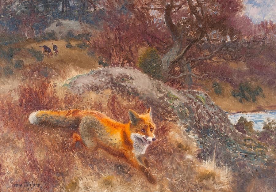 Fox with hounds Painting by Celestial Images