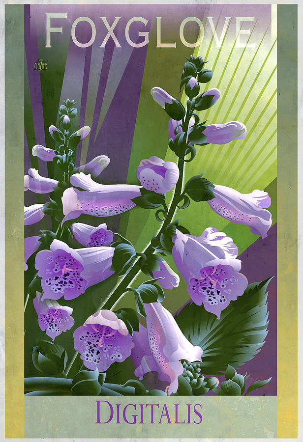 Foxglove Digitalis Floral Poster Painting by Garth Glazier