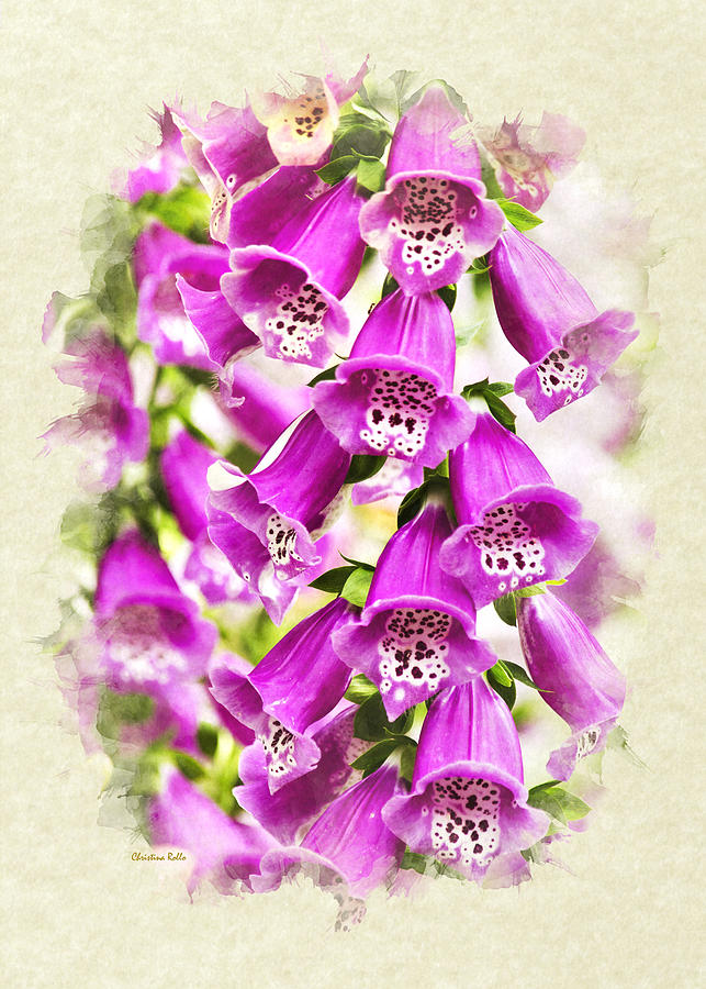 Foxglove Flowers Invitation Note Card Photograph by Christina Rollo