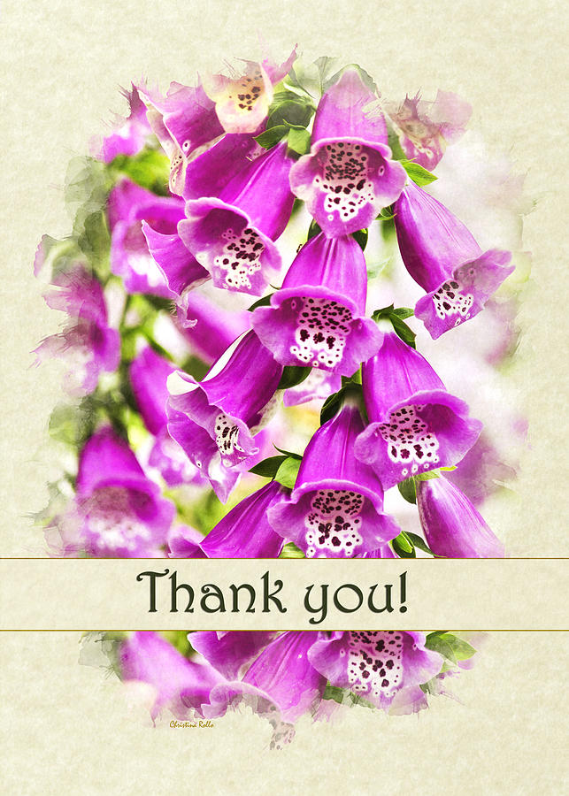 Foxglove Flowers Thank You Card Mixed Media by Christina Rollo