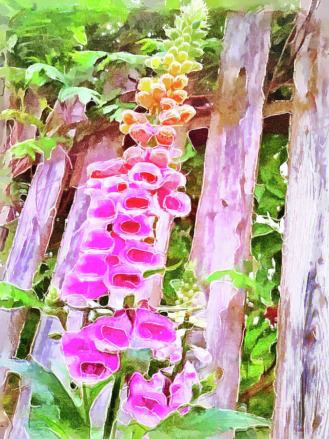 Foxglove In The Shade Digital Art by Leslie Montgomery