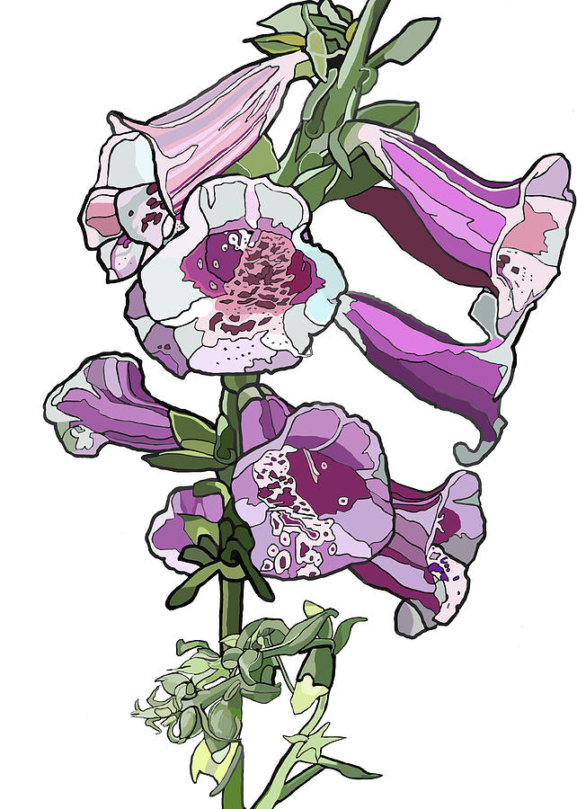 Foxglove Painting by Jamie Downs