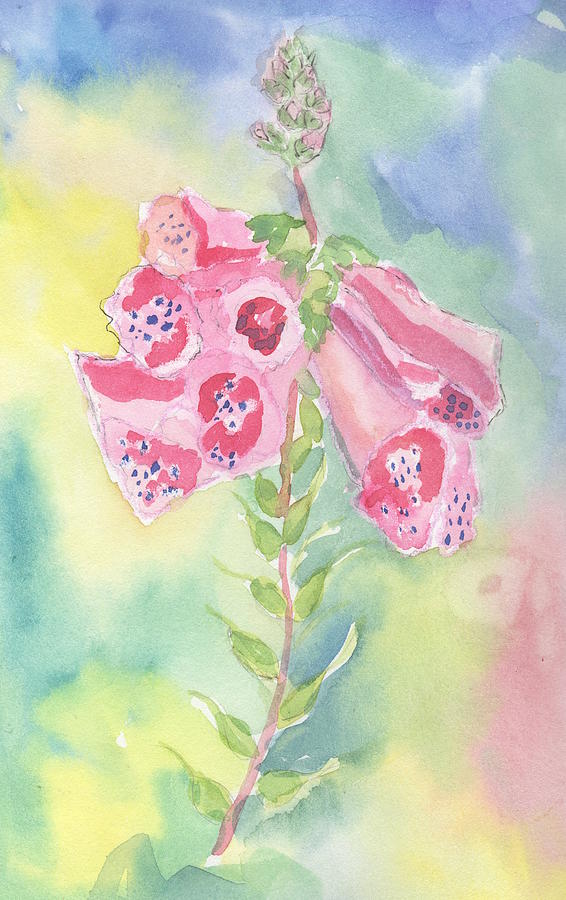 Foxgloves Painting by Marcy Brennan