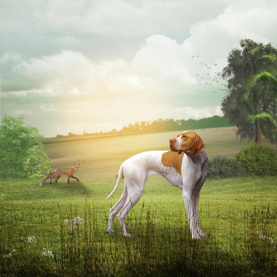 Foxhound And Fox Landscape Photograph by Ethiriel Photography