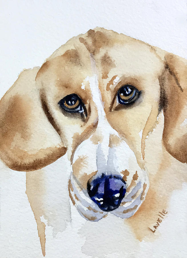 Foxhound Painting by Kimberly Lavelle - Fine Art America