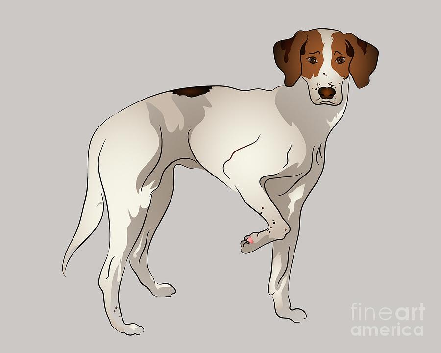Dog Digital Art - Foxhound by MM Anderson