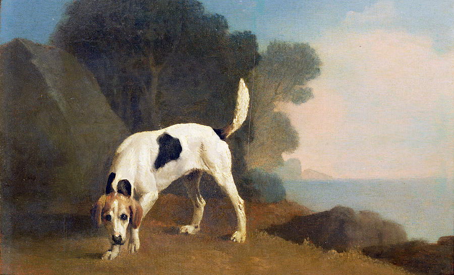 Dog Photograph - Foxhound on the Scent by George Stubbs