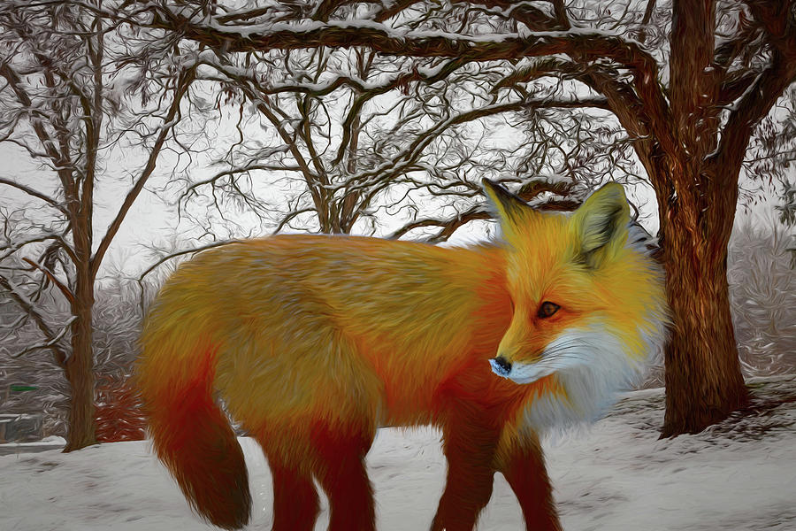 Foxy Closeup Painting Photograph by Debra and Dave Vanderlaan