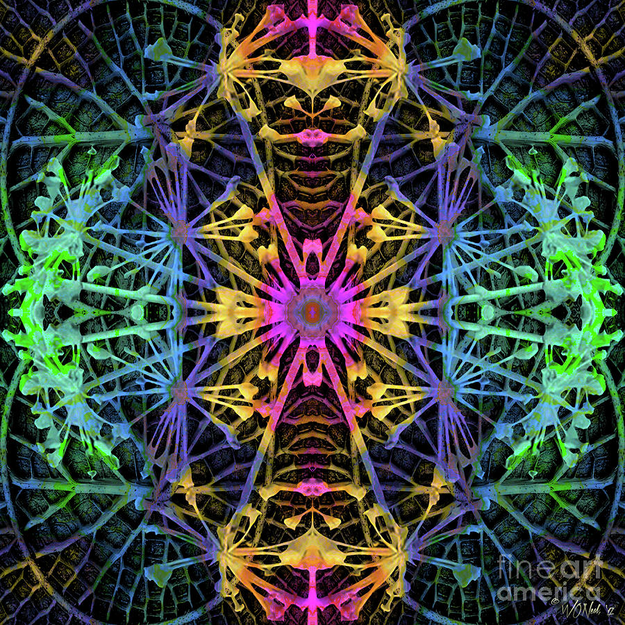 Pattern Digital Art - Fractal Harmony 1c by Walter Neal
